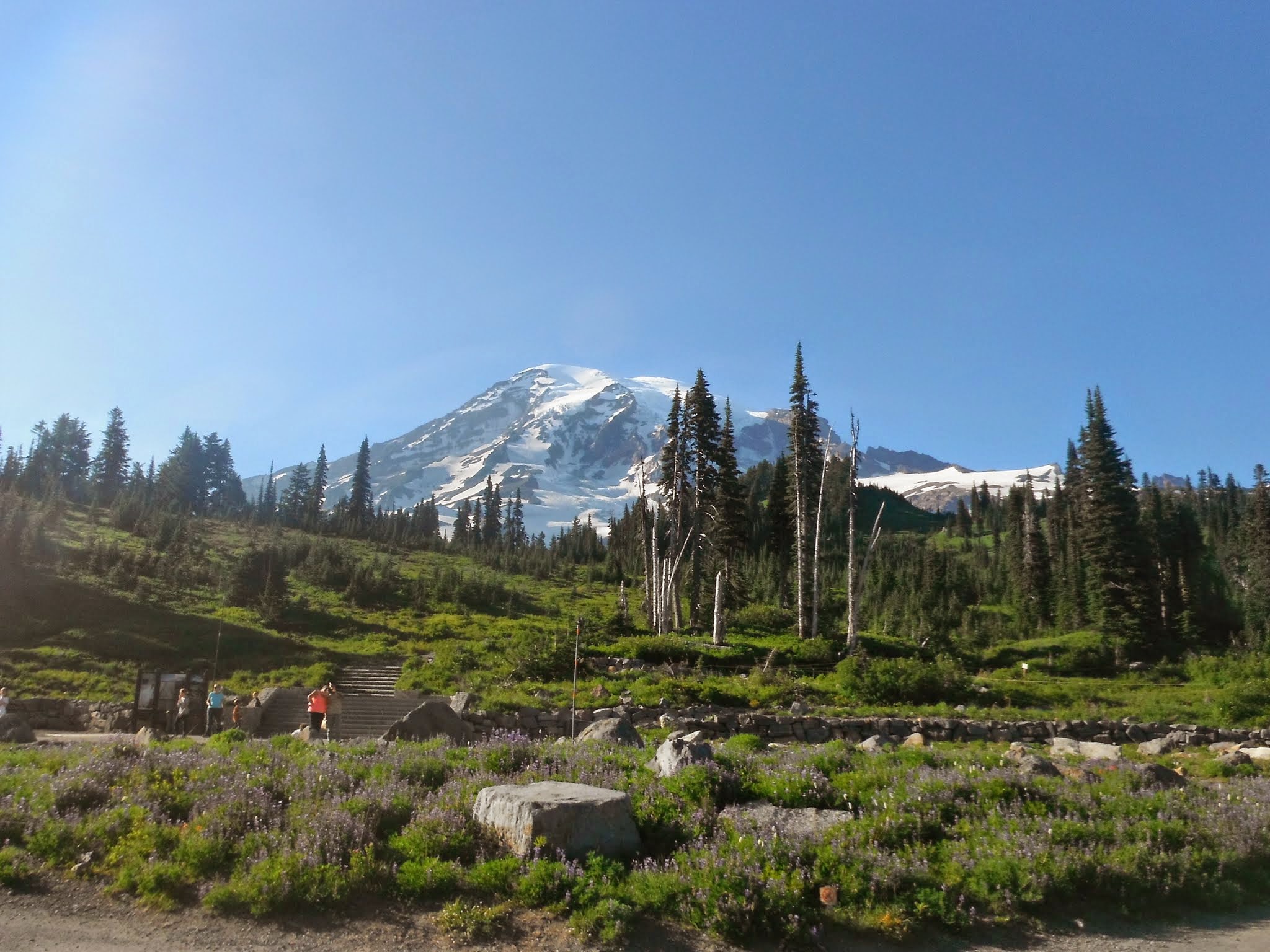 Mt. Rainier