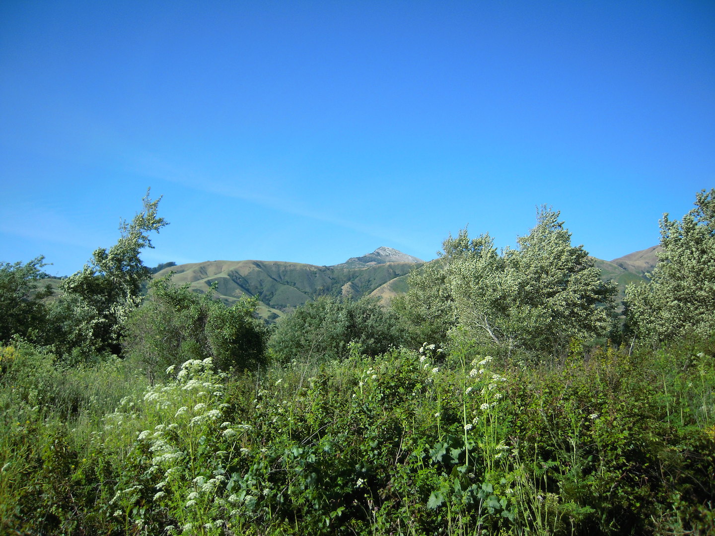 From the Road: Big Sur